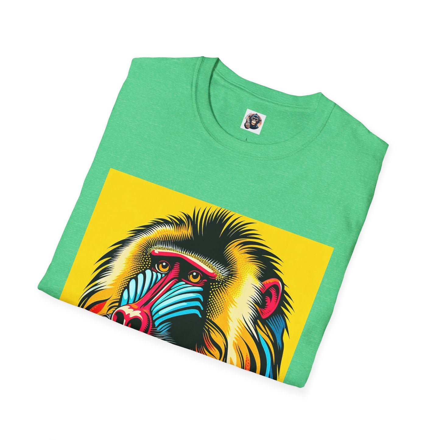 Baboon colorful