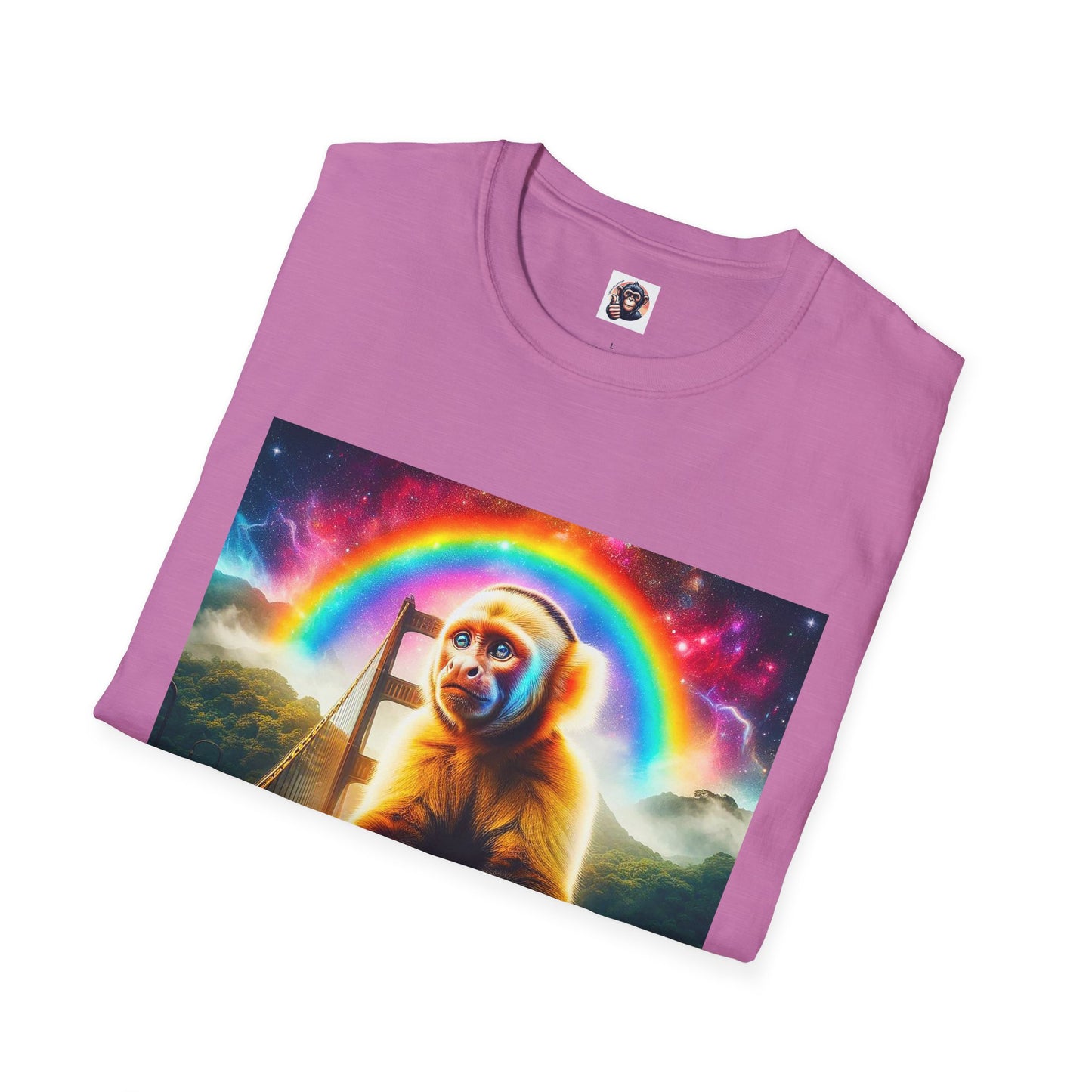 Capuchin Monkey rainbow bridge