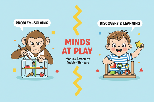 Monkey Intelligence vs Human Toddlers