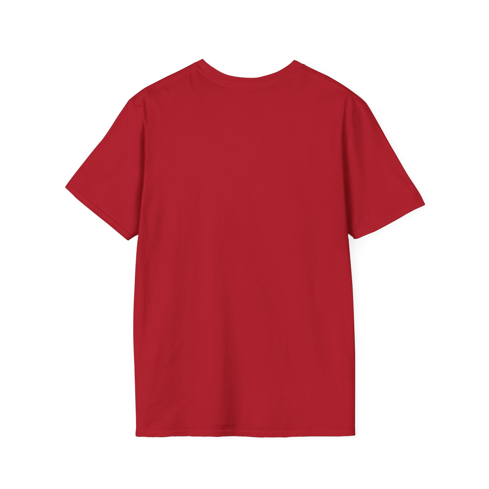 Baboon rainbow bridge T-Shirt Printify